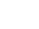btn icon